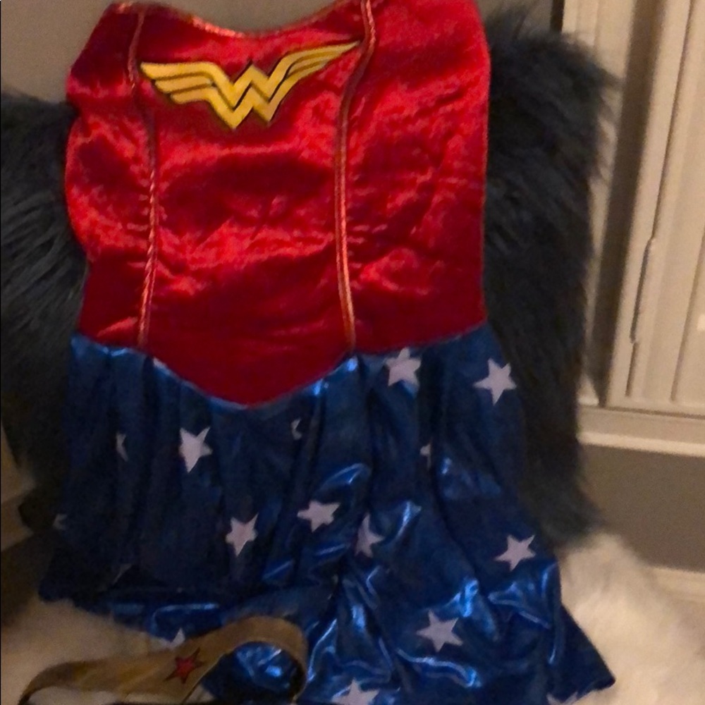 Wonder Woman Halloween costume